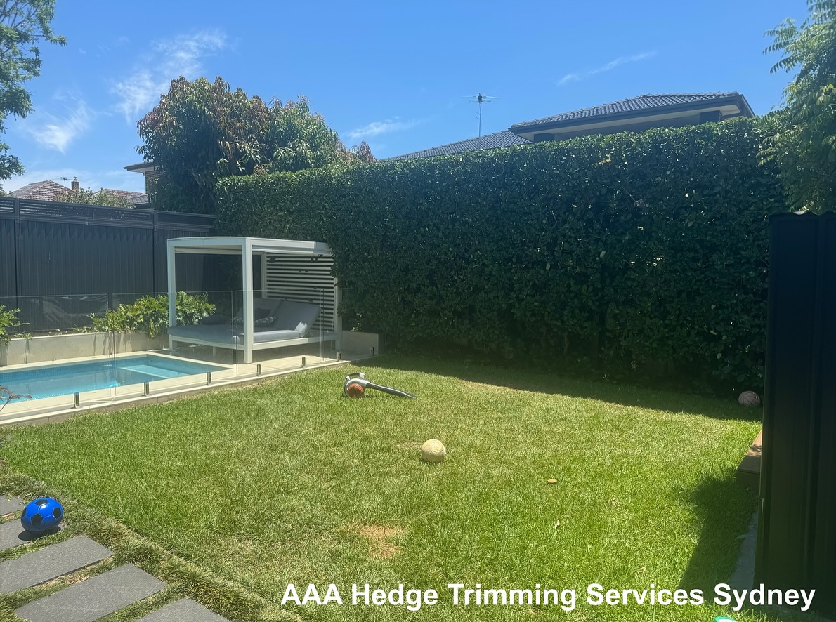 Hedge trimming project, Cronulla